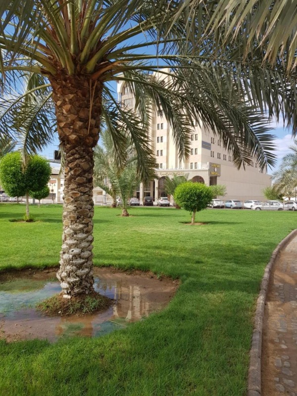 Ewan Dar Alhejra Hotel image 12